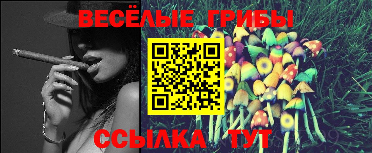 Псилоцибиновые грибы Magic Shrooms  Вход с VPN  Тверь 